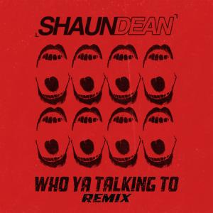 WHO YA TALKING TO (Shaun Dean Remix)