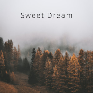 Nettie的專輯Sweet Dream