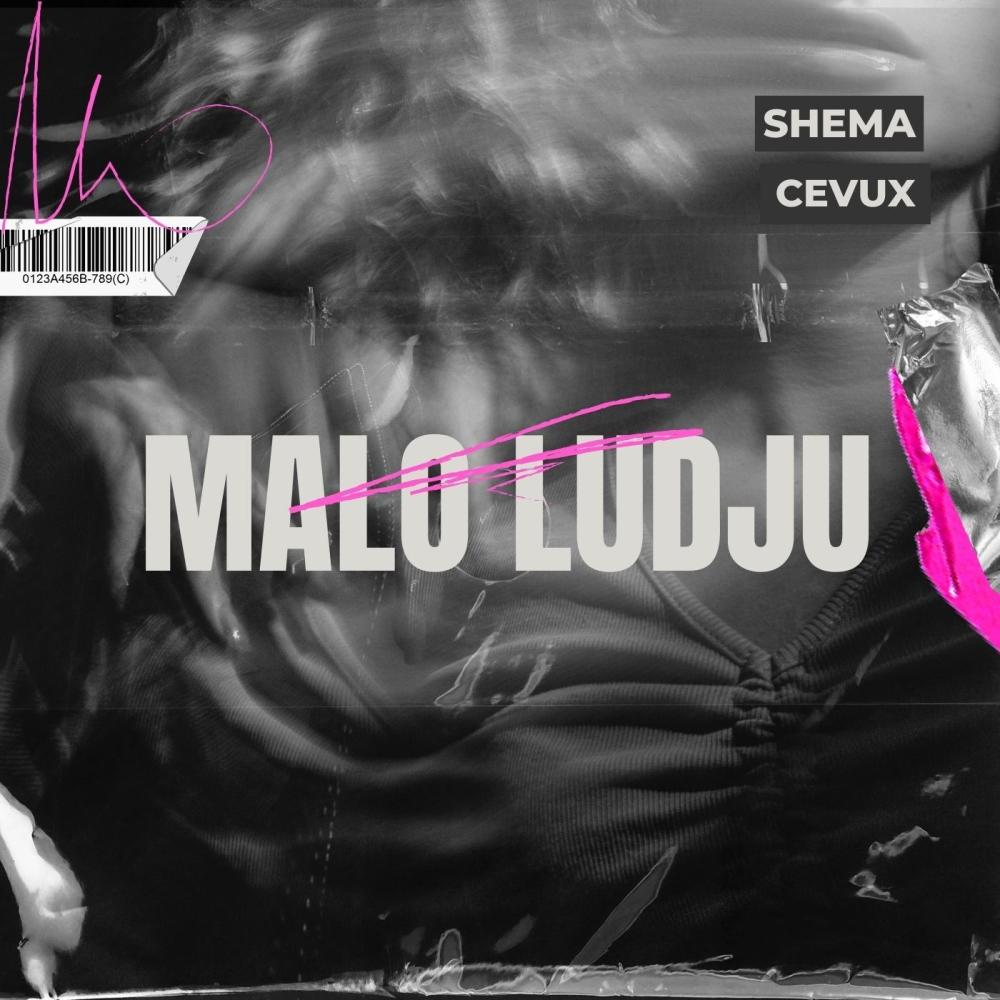 Malo Ludju (feat. Cevux)