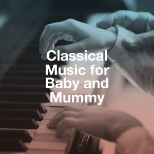 Various Artists的專輯Classical music for Baby and mummy