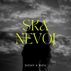 收听Dichy的Ska Nevoj (Explicit)歌词歌曲
