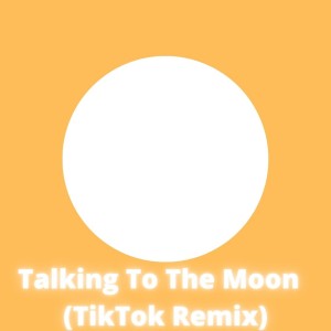 收听Dj Tik Tok Mix的Talking To The Moon (TikTok Remix)歌词歌曲