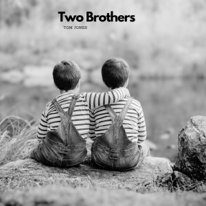 Tom Jones的專輯Two Brothers