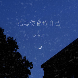 Listen to 把悲伤留给自己 song with lyrics from 赵雨星