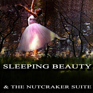 ดาวน์โหลดและฟังเพลง Sleeping Beauty, Op. 66: The Witch (Adagio) พร้อมเนื้อเพลงจาก Philharmonia Orchestra