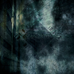 ดาวน์โหลดและฟังเพลง heave พร้อมเนื้อเพลงจาก Schwarzmodul
