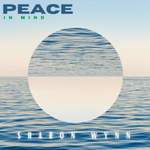 Buddy Banks的專輯Peace In Mind (feat. Buddy Banks)