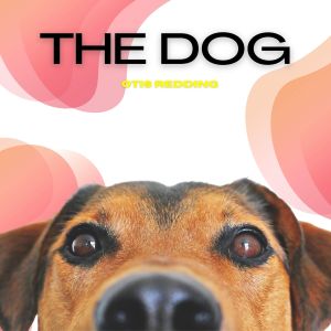 อัลบัม The Dog - Otis Redding ศิลปิน Otis Redding