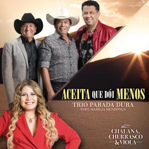 收聽Trio Parada Dura的Aceita Que Dói Menos (Ao Vivo)歌詞歌曲