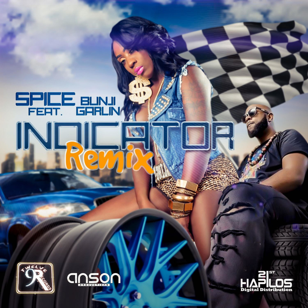 Indicator (Radio Edit)