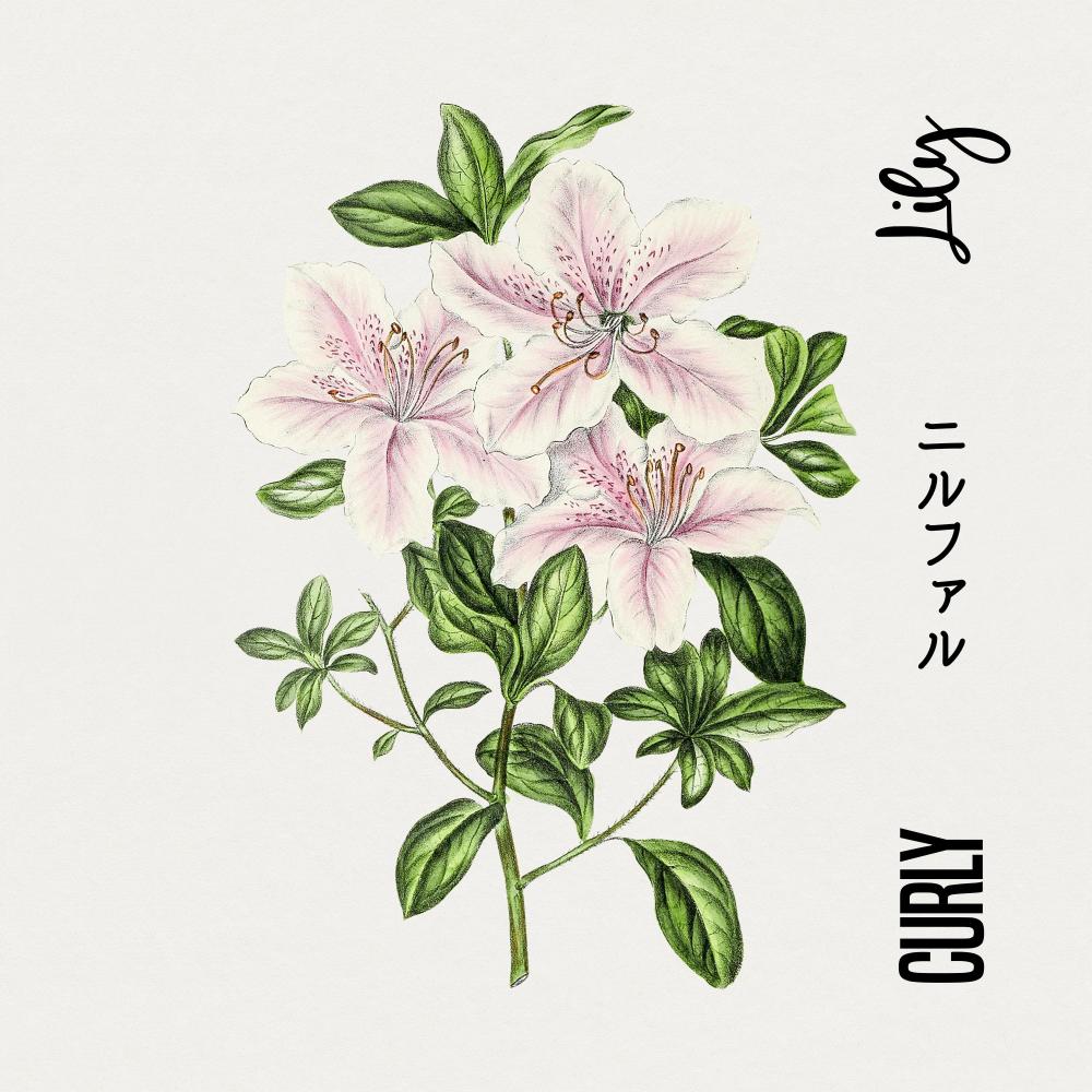 Lily