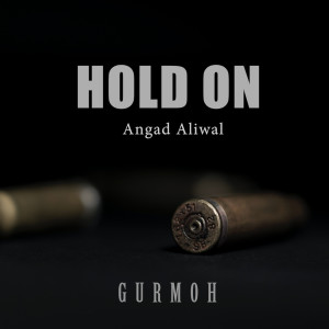 Album Hold On from Angad Aliwal