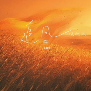 Album 追风 (高燃版) from 王富贵