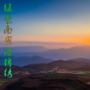 Listen to 绿色的祝福 (Live) song with lyrics from 陈前
