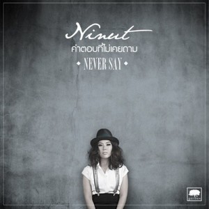 ดาวน์โหลดและฟังเพลง คำตอบที่ไม่เคยถาม พร้อมเนื้อเพลงจาก Ninut