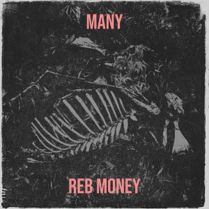Listen to Many (Explicit) song with lyrics from Reb Money