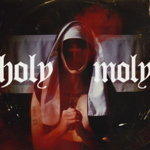 收聽Carnage的Holy Moly歌詞歌曲