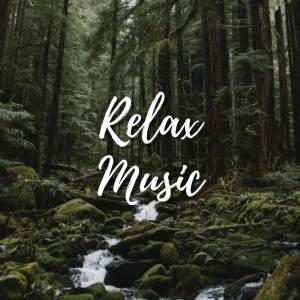Peaceful Relaxation的專輯Relaxing music Relieves stress
