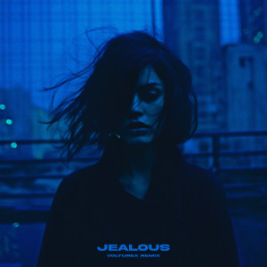 Album Jealous (Volturex Remix) from MAXPVNK