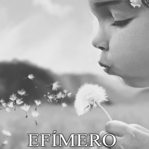 Album Efímero from Yexo