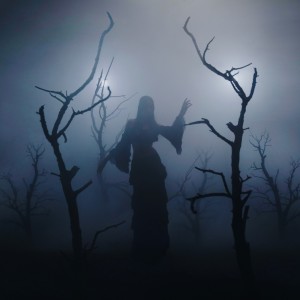 收聽Julia Wolf的Life Is A Storm歌詞歌曲