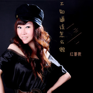 收听红蔷薇的不知道该怎么做 (伴奏)歌词歌曲