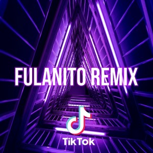 Listen to Fulanito (Remix) song with lyrics from Dj TikTok Viral