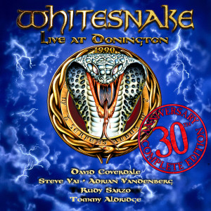 ดาวน์โหลดและฟังเพลง Fool for Your Loving (Live at Donington, 1990; 2019 Remaster) พร้อมเนื้อเพลงจาก Whitesnake