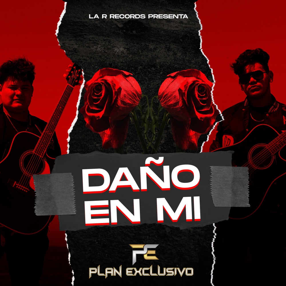 Daño en Mi