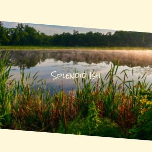 Album Splendid Ish oleh Various