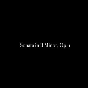 Al Goranski的專輯Sonata in B Minor, Op. 1