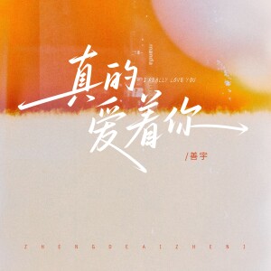 的專輯真的愛着你