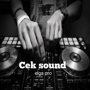 Listen to Cek sound (Remix) song with lyrics from Elga pro