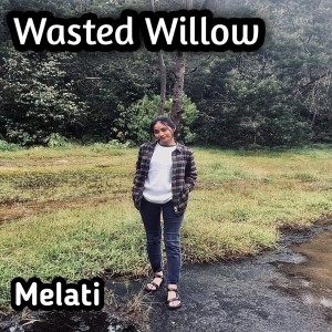 Listen to Voodest Velvent song with lyrics from Melati