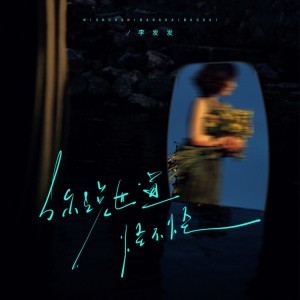 Listen to 你说世道怪不怪 (完整版) song with lyrics from 李发发