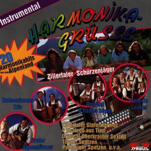 Listen to Am Lamprechtsberg song with lyrics from Peter Lamprecht
