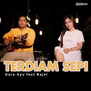 收听Dara Ayu的Terdiam Sepi歌词歌曲