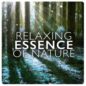 ดาวน์โหลดและฟังเพลง Lakeside Afternoon พร้อมเนื้อเพลงจาก Relaxing Nature
