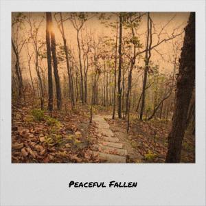 Listen to Accept Sympathy song with lyrics from Florentin Pien