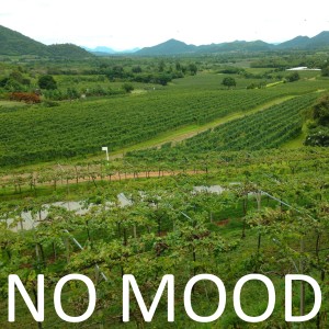 Album No Mood from 