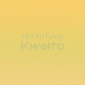 Album Electrifying Kwaito oleh Various