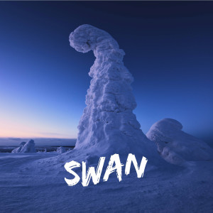 收聽DjSunnyMega的Swan (James Remix)歌詞歌曲