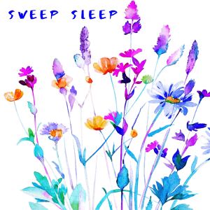 收聽Sweep Sleep的Cool歌詞歌曲