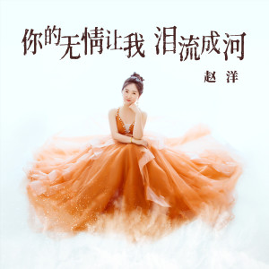赵洋的专辑你的无情让我泪流成河