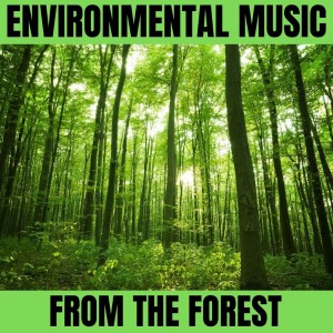 Listen to Sounds of the Forest song with lyrics from To Release Stress