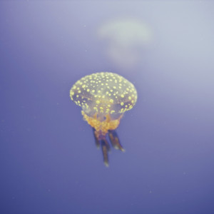 Listen to Levitating song with lyrics from Xenia Rubinos