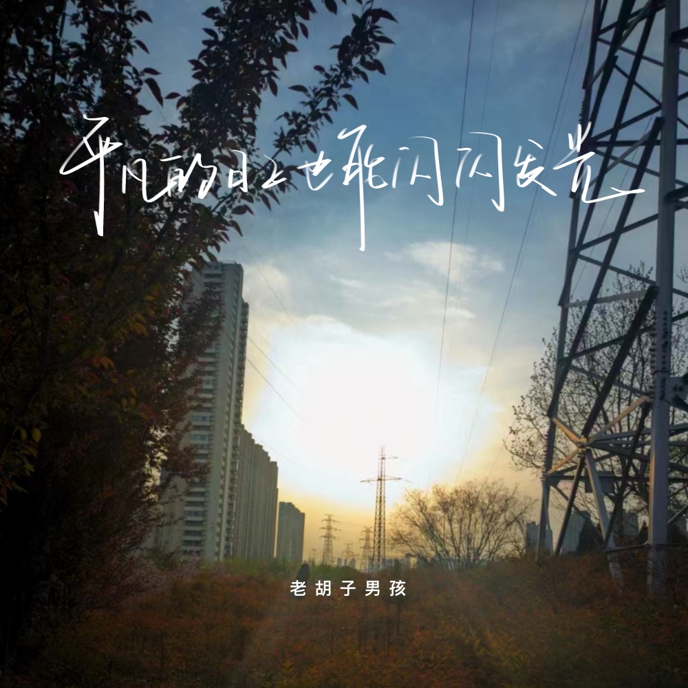 平凡的日子也能闪闪发光 (伴奏)