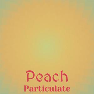 Various的专辑Peach Particulate