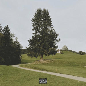 Strazjo的專輯non ci pensare (feat. kniar, Marco444, Narcolessia & EnimraK) [Explicit]