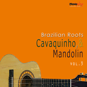 收听Evandro do Bandolin e seu Regional的Brejeiro歌词歌曲